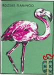 Rozsas Flamingo