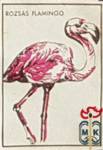 Rozsas Flamingo
