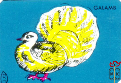 Galamb