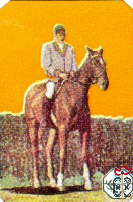 Vadaszati Vilagkiallitas