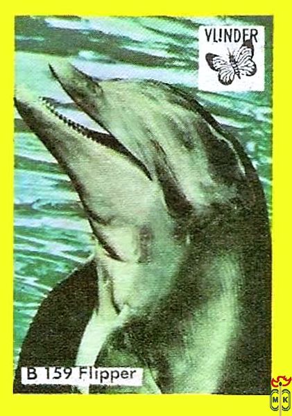 Flipper