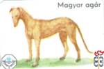 Magyar agar