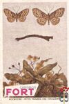 Kersenvlieg - Mouche des Cerises FORT Chromos