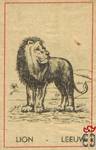 Lion Leeuw