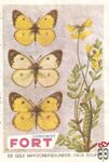Gele hippocrepisvlinder - Faux soufre FORT Chromos
