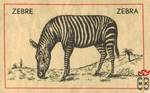Zebre Zebra