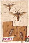 Reuzenhoutwesp - sirex geint FORT Chromos