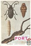 Weverbok - Lamie tisserande FORT Chromos