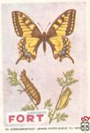 De koninginnepage - Grand porte-queue gu machaon FORT Chromos