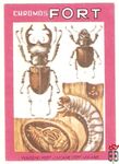 Vliegend Hert-Lucane Cerf-Volant Chromos Fort