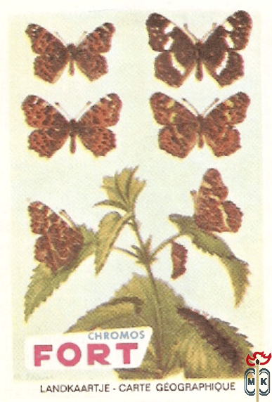 Landkaartje - Carte geographique FORT Chromos