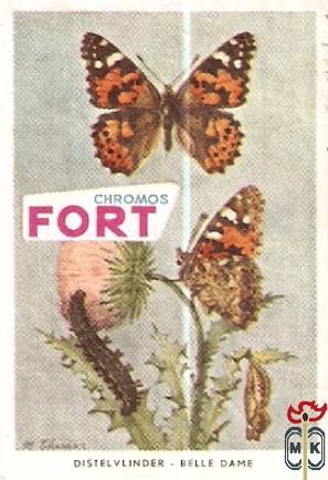 Distelvlinder - Belle dame FORT Chromos