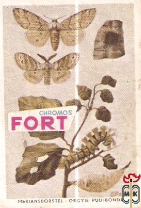 Meriansborstel - Orgyie pudibonde FORT Chromos