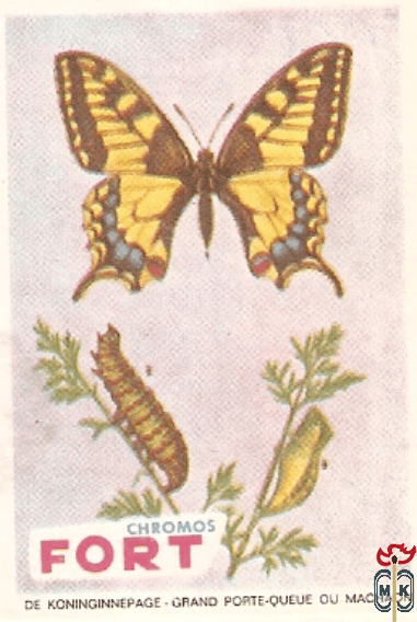 De koninginnepage - Grand porte-queue gu machaon FORT Chromos