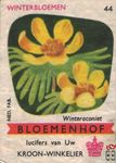 Winteraconiet Winterbloemen Bloemenhof lucifers van Uw kroon-winkelier