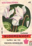 Cyclamen Winterbloemen Bloemenhof lucifers van Uw kroon-winkelier Ned.