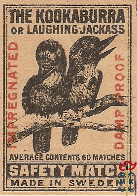 The Kookaburra or laughing Jackass impregnated damp proof average cont