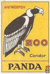 58 Panda Condor Zoo Antwerpen