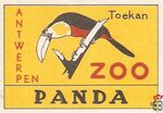 60 Panda Toekan Zoo Antwerpen