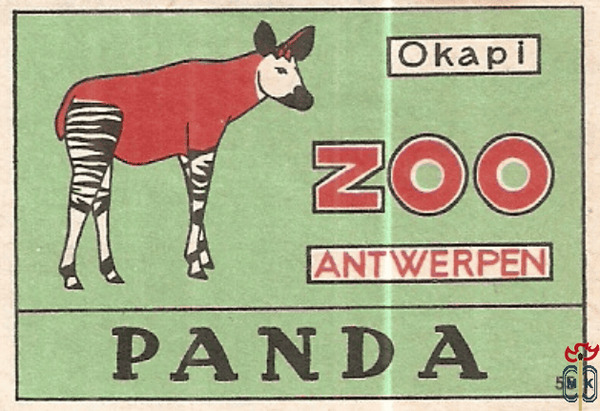 55 Panda  Okapi Zoo Antwerpen
