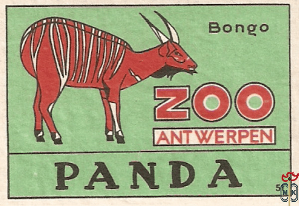 51 Panda  Bongo Zoo Antwerpen