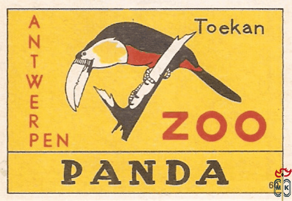 60 Panda Toekan Zoo Antwerpen