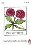 Deine liebe begludt. Neuefte tleine Blumentpradje s. V/5
