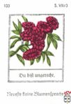 Du bift ungerecht. Neuefte tleine Blumentpradje s. VII/3