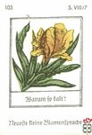 Barum to falt? Neuefte tleine Blumentpradje s. VIII/7