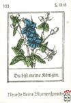 Du bift meine ronidin. Neuefte tleine Blumentpradje s. IX/8
