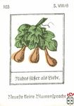 Nichte fuber als liebe. Neuefte tleine Blumentpradje s. VIII/8