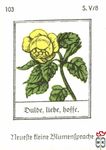 Dulde, liebe, boffe. Neuefte tleine Blumentpradje s. V/8