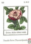 Deine falte todtet mich. Neuefte tleine Blumentpradje s. IX/2