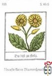 Du bift su ftols. Neuefte tleine Blumentpradje s. VI/5