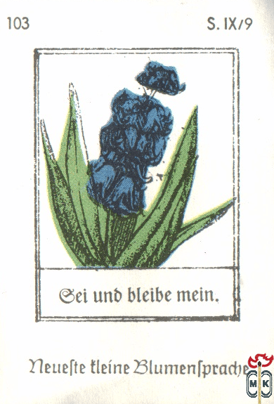 Gei und blede mein. Neuefte tleine Blumentpradje s. IX/9