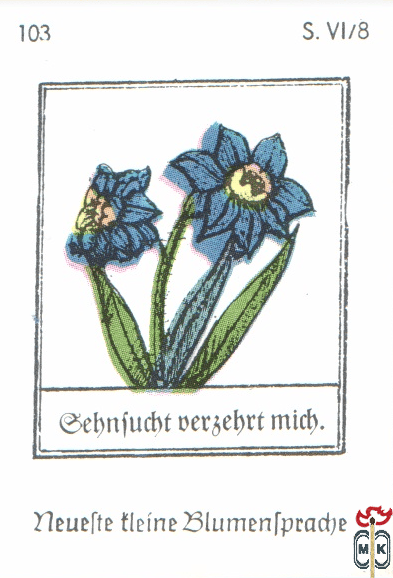 Gebnfucht versehrt mich. Neuefte tleine Blumentpradje s. VI/8