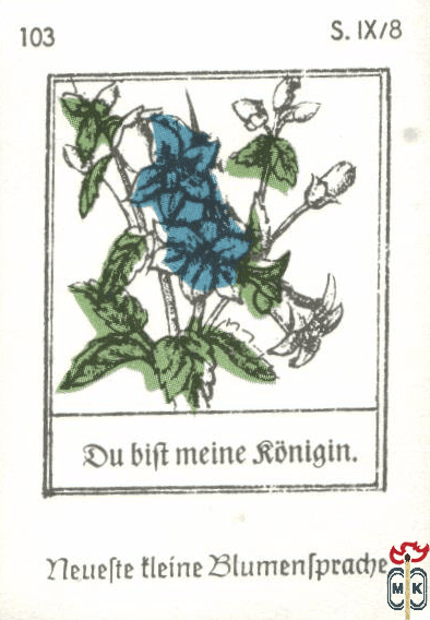 Du bift meine ronidin. Neuefte tleine Blumentpradje s. IX/8