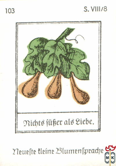 Nichte fuber als liebe. Neuefte tleine Blumentpradje s. VIII/8