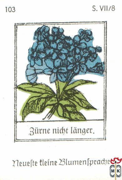 Furne nicht langer. Neuefte tleine Blumentpradje s. VII/8