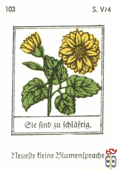 Die find su fchlafrig. Neuefte tleine Blumentpradje s. V/4