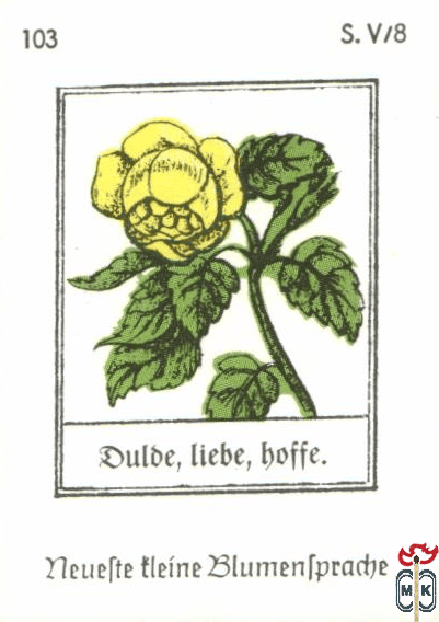 Dulde, liebe, boffe. Neuefte tleine Blumentpradje s. V/8