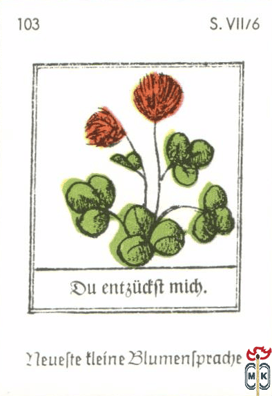 Du entgudft mich. Neuefte tleine Blumentpradje s. VII/6