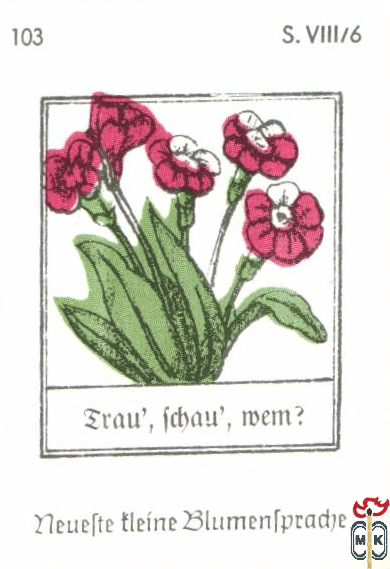 Frau', fchau', mem? Neuefte tleine Blumentpradje s. VIII/6