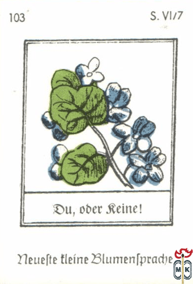 Du, oder keine! Neuefte tleine Blumentpradje s. VI/7