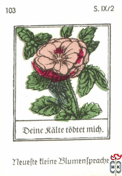 Deine falte todtet mich. Neuefte tleine Blumentpradje s. IX/2