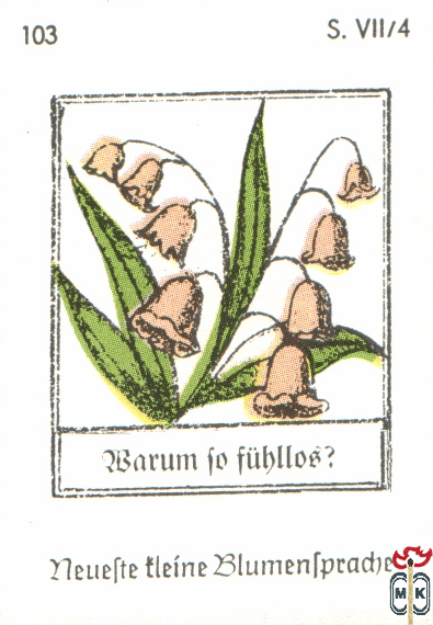Barum to fuhlloe? Neuefte tleine Blumentpradje s. VII/4
