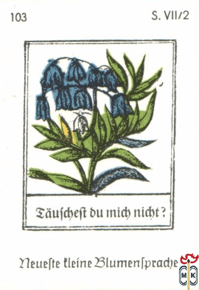 Taufcheft du mich nicht? Neuefte tleine Blumentpradje s. VII/2