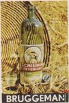 Bruggeman