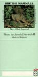 №4 Red Squirrel British Mammals A Series of 10 Average Contents 40 Pho