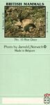 №10 Roe Deer British Mammals A Series of 10 Average Contents 40 Photo